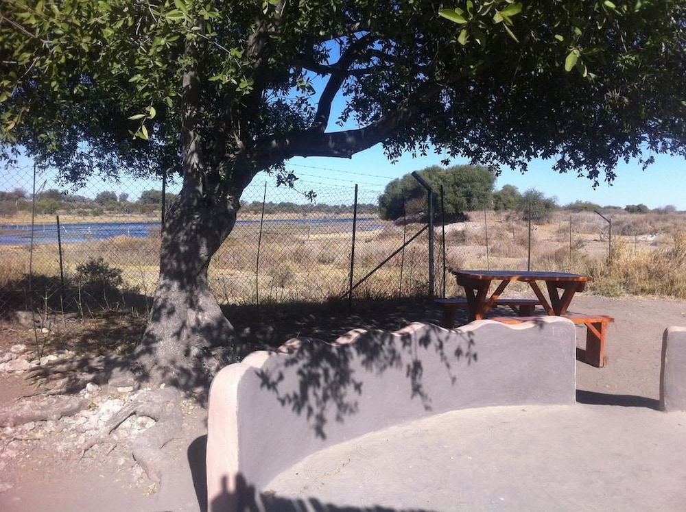 Tent, Shared Bathroom (Campsite-No bed provided.Bring tent) photo 2