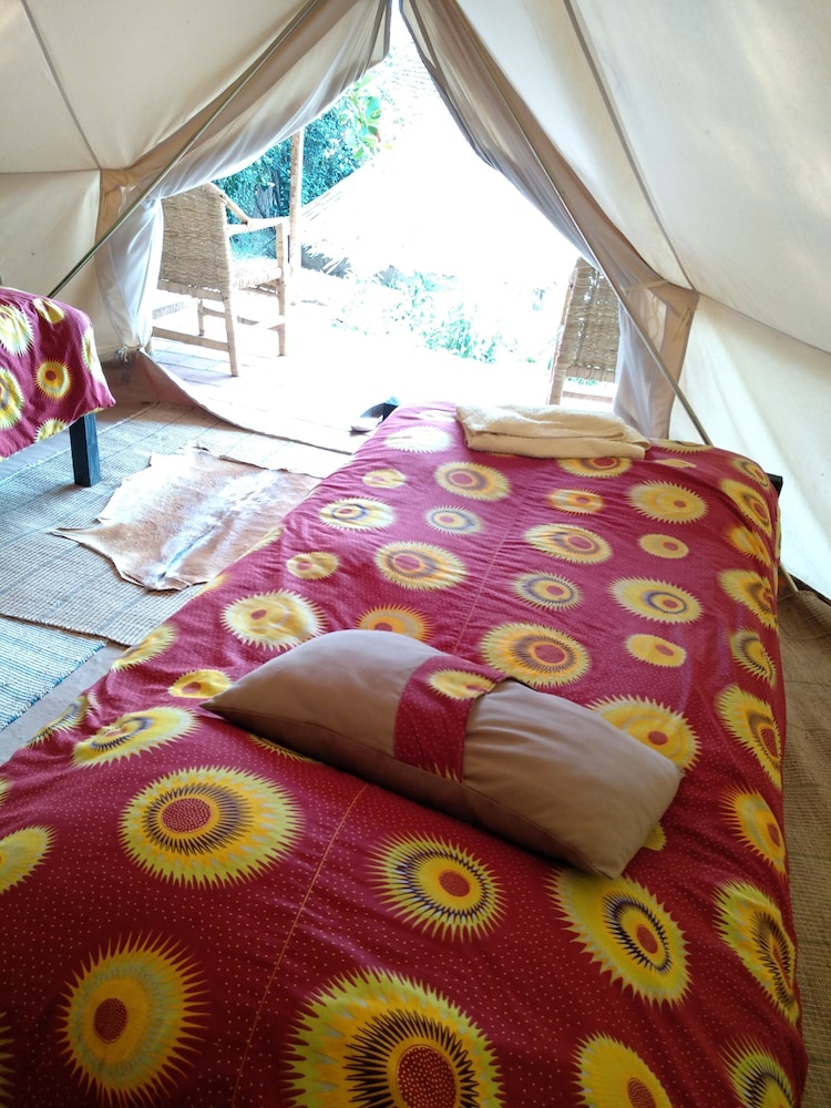 Basic Tent photo 2