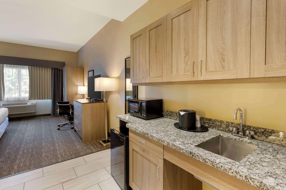 Standard Room, 1 King Bed, Accessible, Non Smoking (Pet Friendly) photo 2