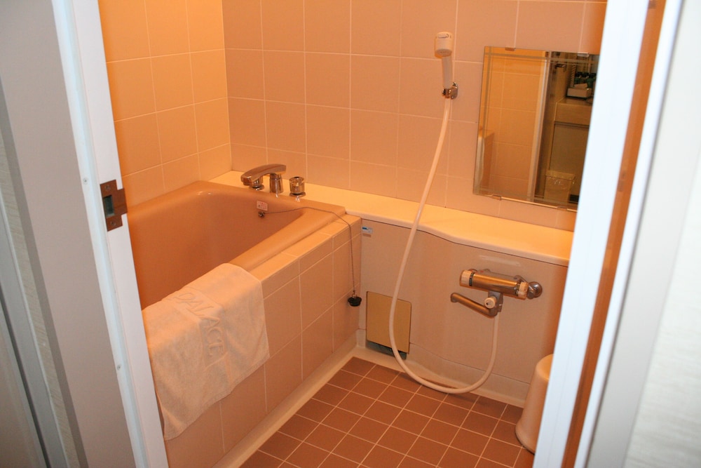 Western Style Room, Non Smoking photo 2