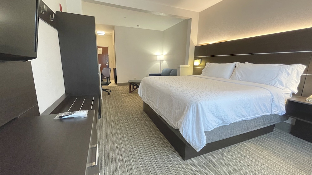 Suite, 1 King Bed - Photo 4