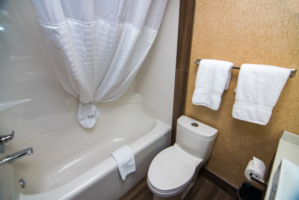 Suite, 1 King Bed, Non Smoking - Photo 12