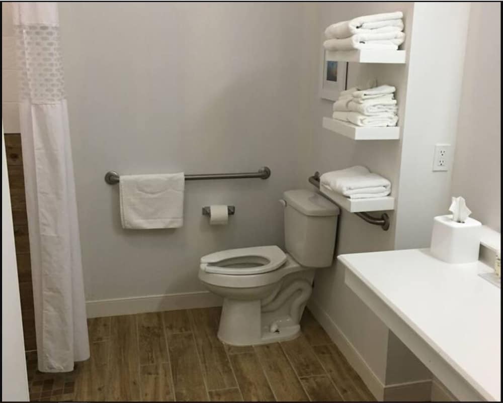 Room, 1 King Bed, Accessible, Non Smoking (mob/hearing acc w/ roll-in shower) photo 1