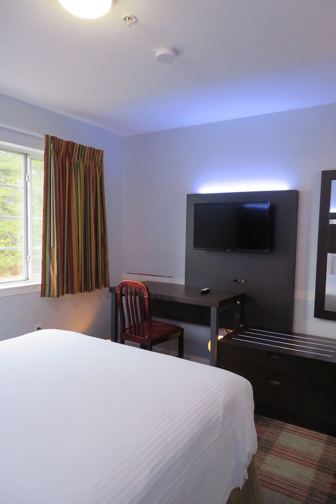 Suite, Multiple Beds photo 1
