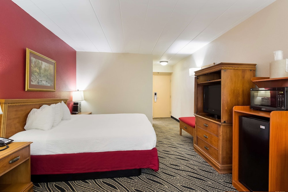 Standard Room, 1 King Bed, Accessible, Non Smoking photo 3