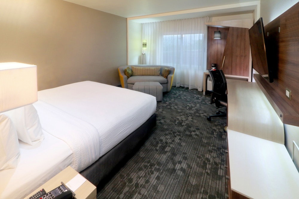 Room, 1 King Bed photo 2