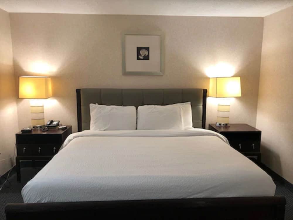 Room, 1 King Bed, Non Smoking, main floor - Photo 1