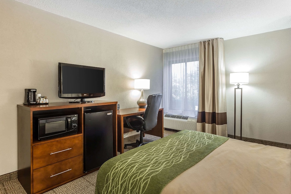 Standard Room, 1 King Bed, Non Smoking - Photo 9