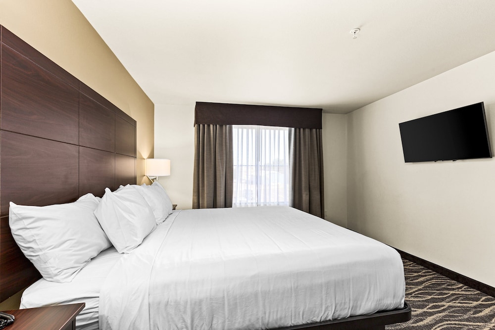 Suite, 1 King Bed with Sofa bed, Non Smoking (Extended Stay) - Photo 6