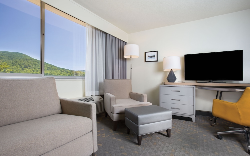 Suite, 1 King Bed, Mountain View photo 2