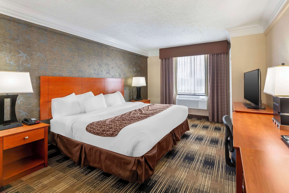 Standard Room, 1 King Bed, Accessible, Refrigerator