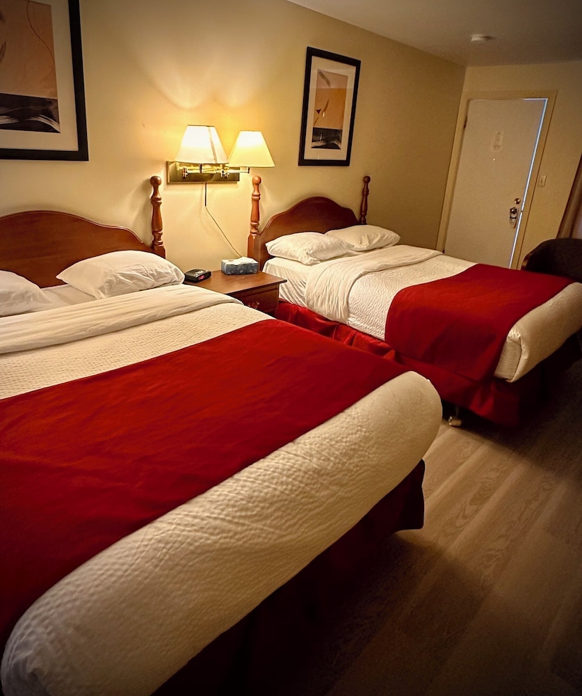 Standard Room, 2 Double Beds photo 1