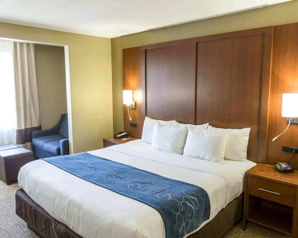 Suite, 1 King Bed with Sofa bed, Accessible, Non Smoking - Photo 2