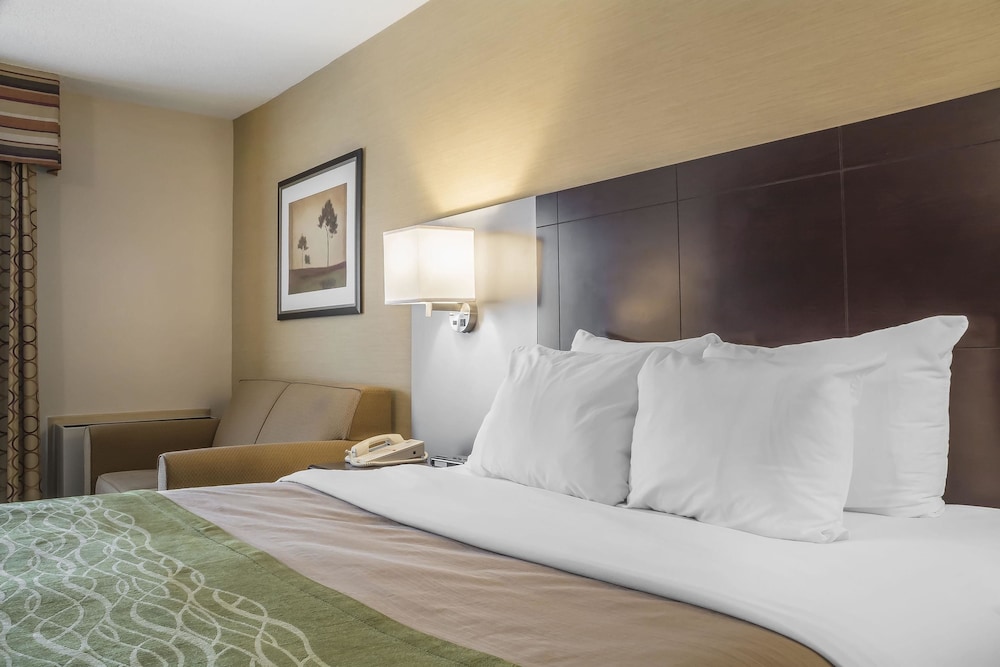 Comfort Care, Standard Room, 1 Queen Bed - Photo 5