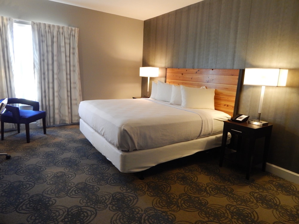 Suite, 1 King Bed, Non Smoking, Refrigerator & Microwave (Living Room;with Sofabed) - Photo 1
