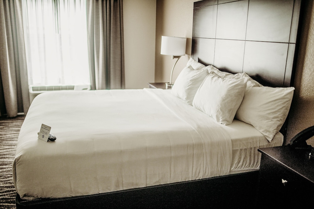 Studio, 1 King Bed with Sofa bed, Audible/Visual Alert, Non Smoking - Photo 4