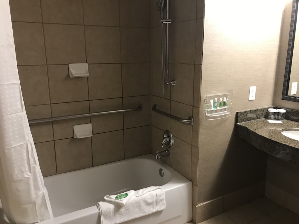 Standard Room, 1 King Bed, Accessible (Mobility, Accessible Tub) - Photo 4