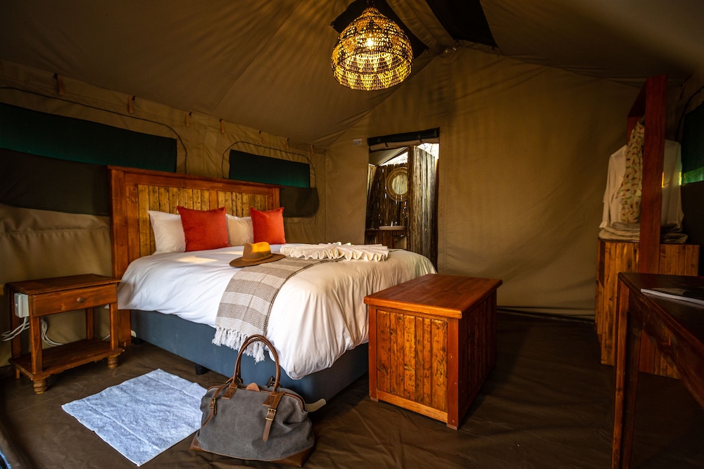 Luxury Tent (Queen bed) photo 1