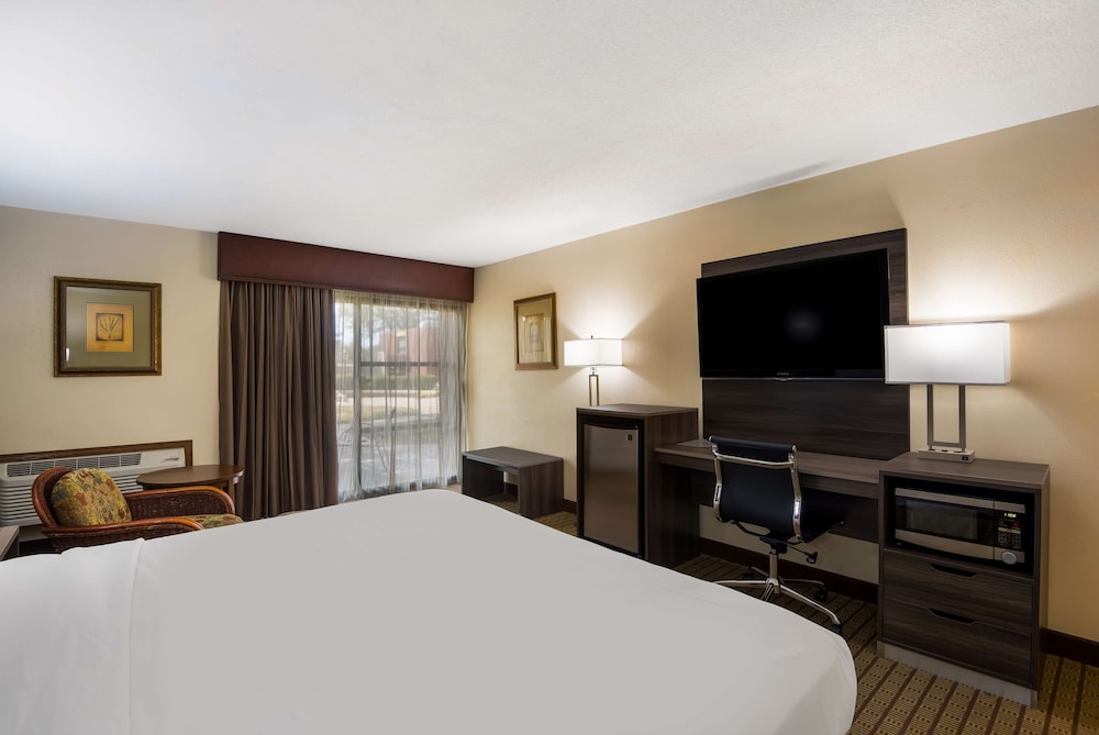Business Room, 1 King Bed, Patio, Ground Floor - Photo 2