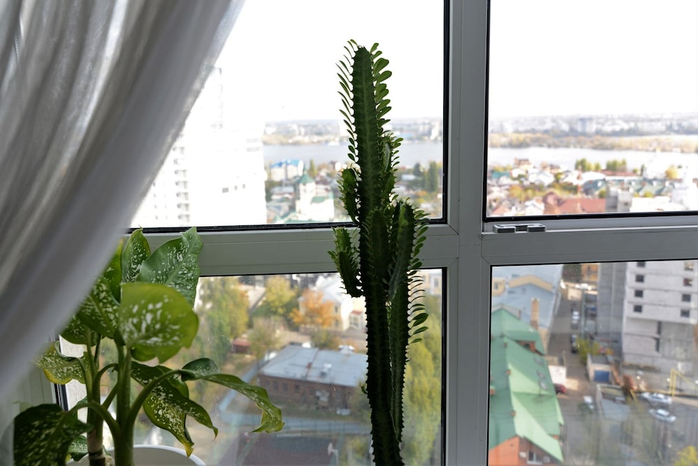 Apartment (A-239) photo 2