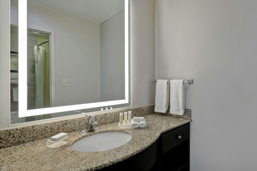Suite, 1 Bedroom - Photo 11