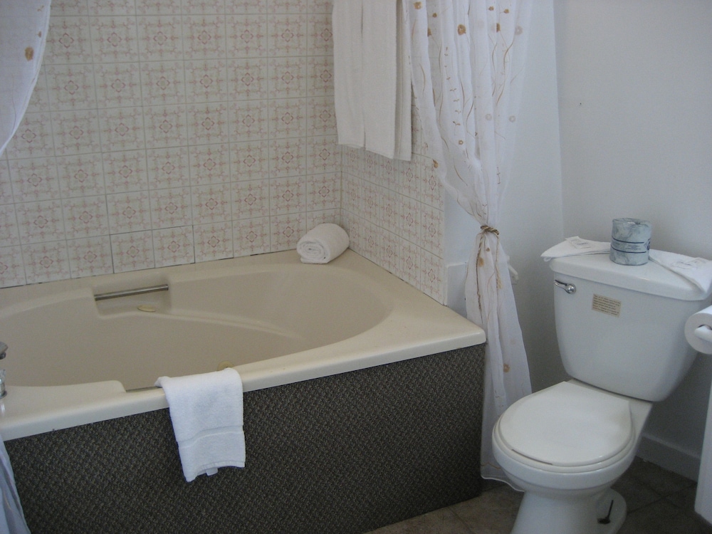 Suite, 1 Queen Bed photo 2