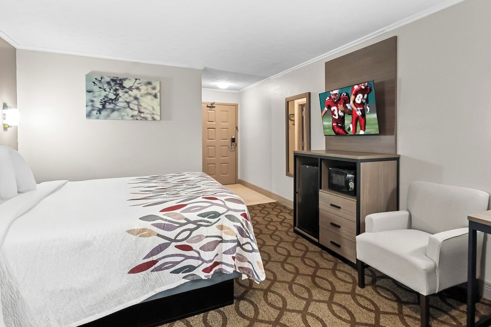 Suite, 1 King Bed with Sofa bed, Non Smoking - Photo 2