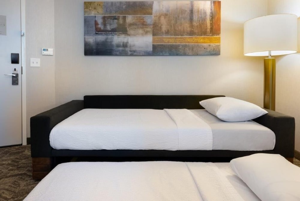 SpringHill Suites by Marriott Columbia, Billede 2