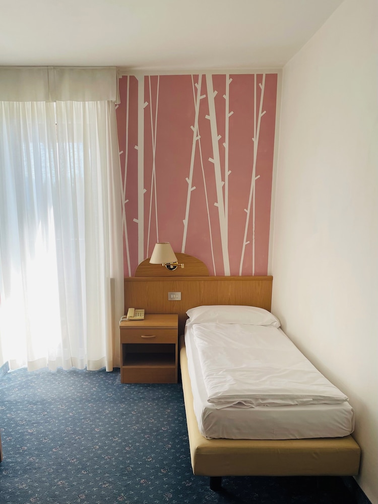 Superior Single Room, Mountain View