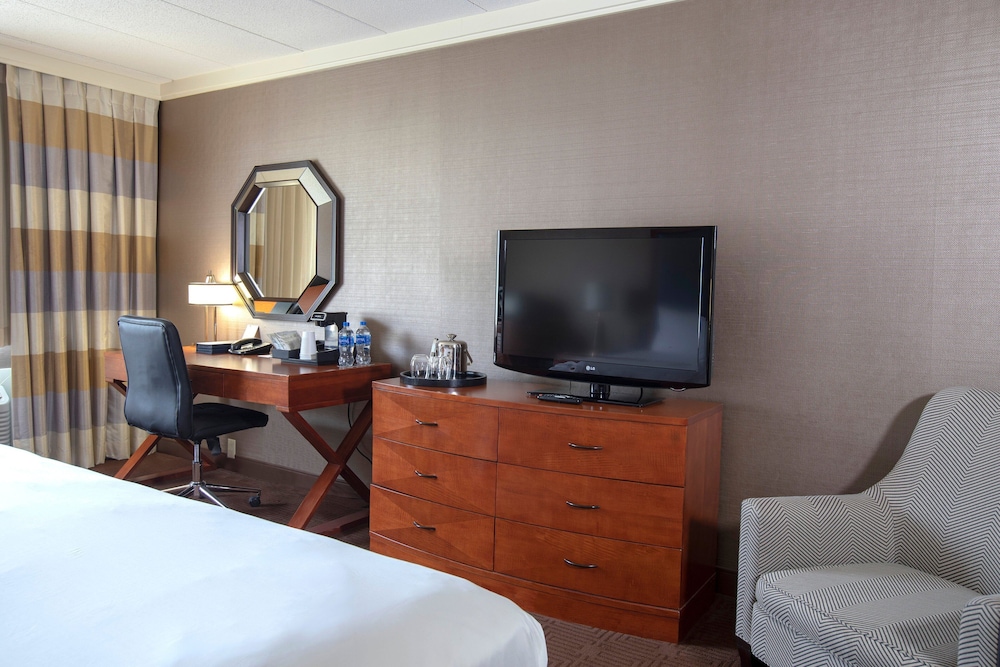 Suite - Photo 2