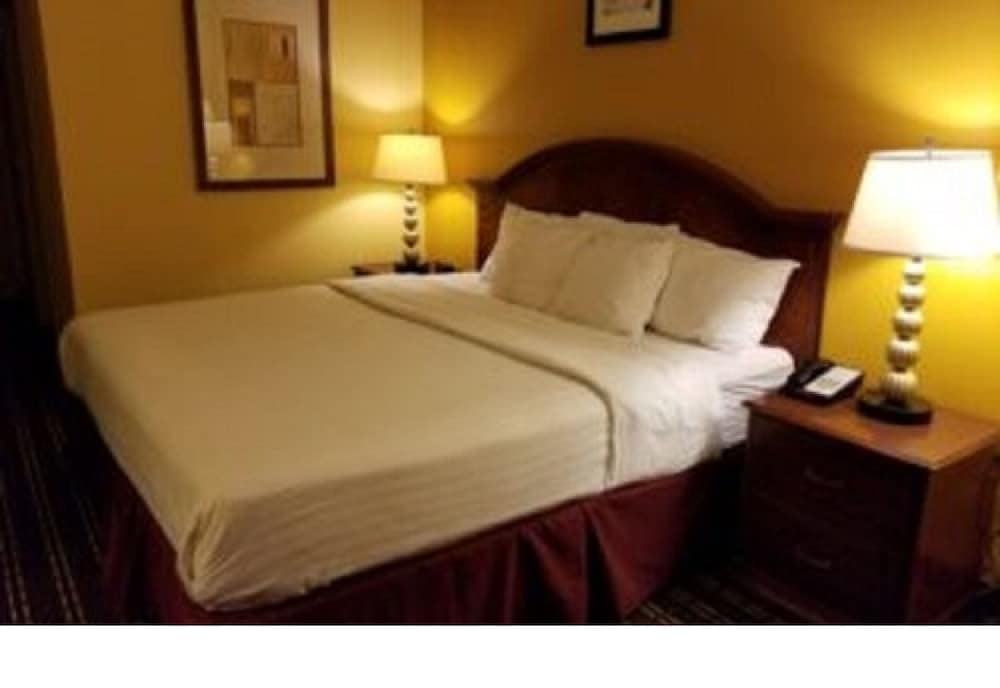 Standard Room, 1 King Bed photo 3