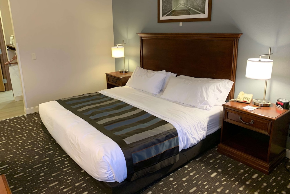 Suite, 1 King Bed with Sofa bed, Non Smoking, Jetted Tub (Jacuzzi Suite) photo 1