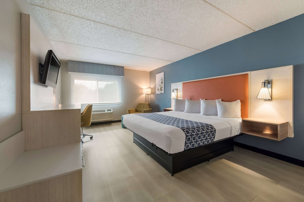 Room, 1 King Bed, Mobility Accessible, Non Smoking (Bathtub W/grab Bars) photo 1