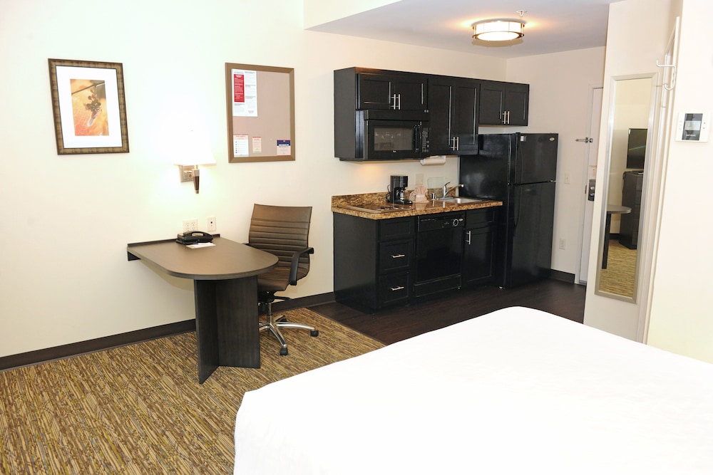 Studio Suite, 1 Queen Bed - Photo 5
