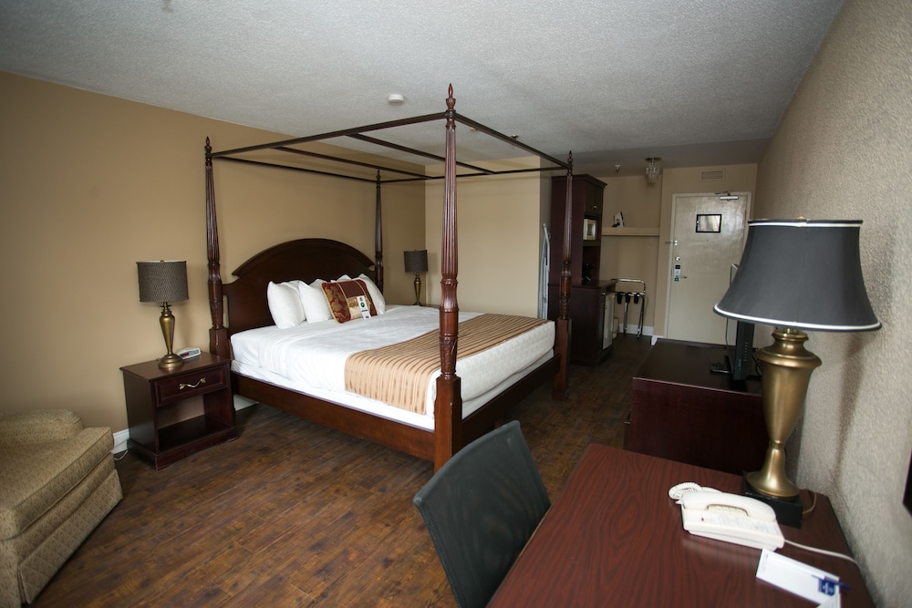 Room, 1 Queen Bed, Refrigerator & Microwave photo 3