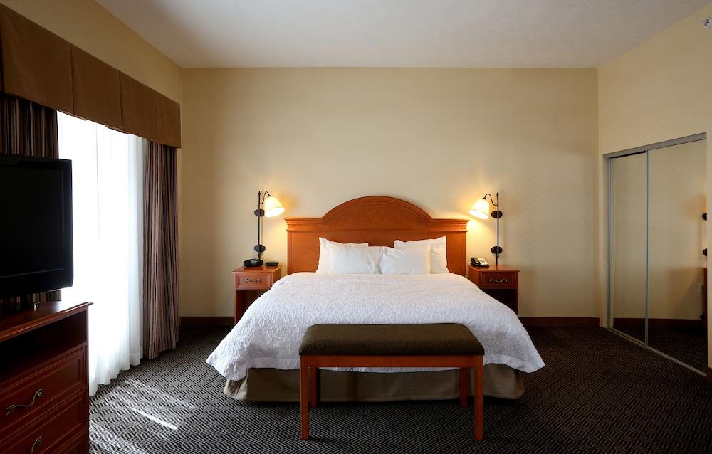 Suite, 1 King Bed, Accessible, Non Smoking - Photo 6
