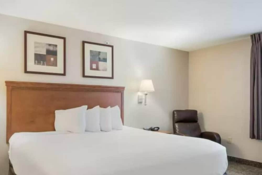 Basic Suite, 1 Queen Bed with Sofa bed, Non Smoking - Photo 1
