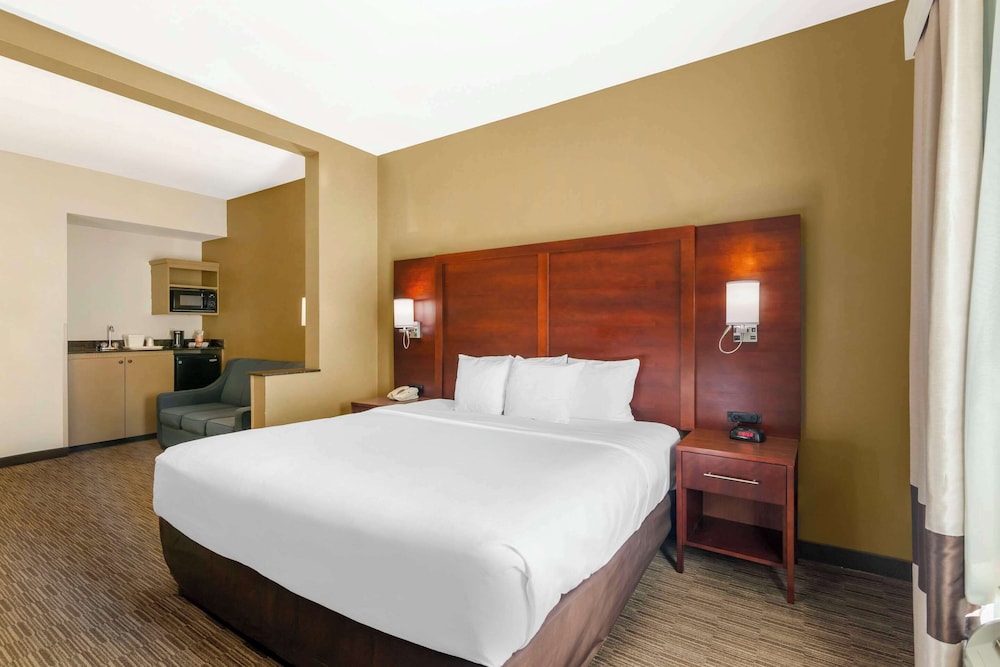 Suite, 1 King Bed with Sofa bed, Accessible, Non Smoking
