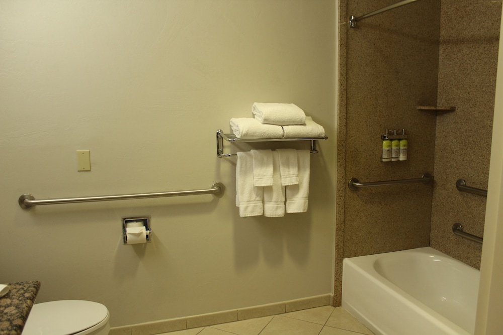 Suite, 1 Bedroom, Accessible (Communications, Mobil, Accessible Tub) photo 3