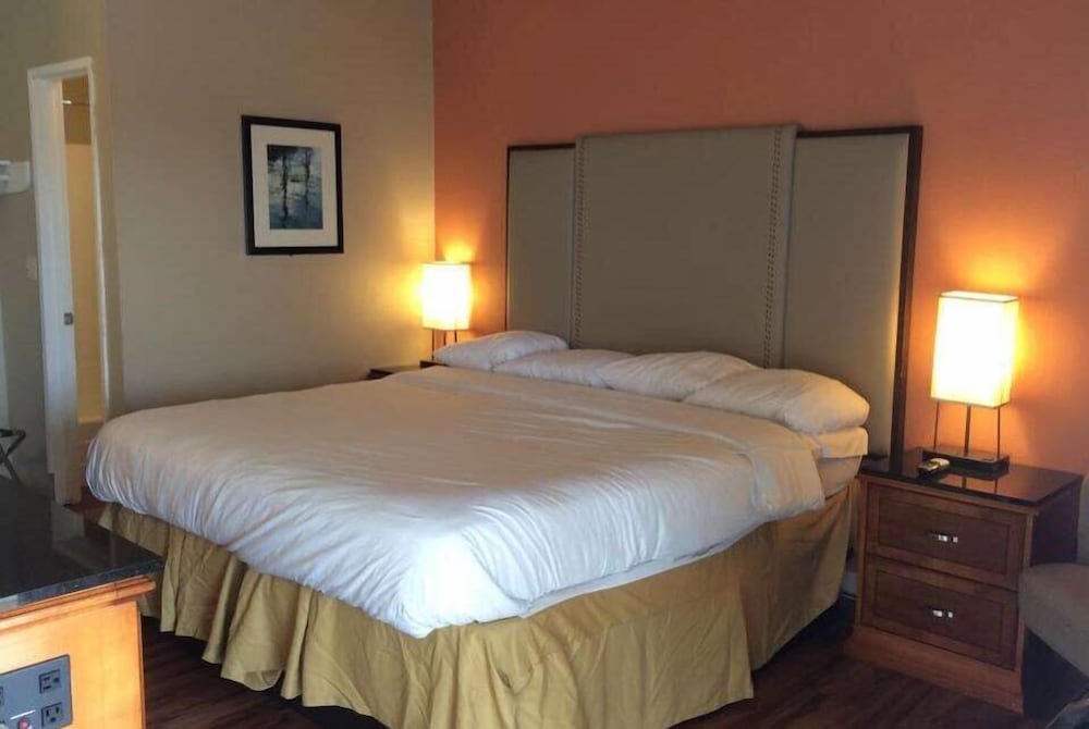 Room, 1 King Bed, Non Smoking photo 1