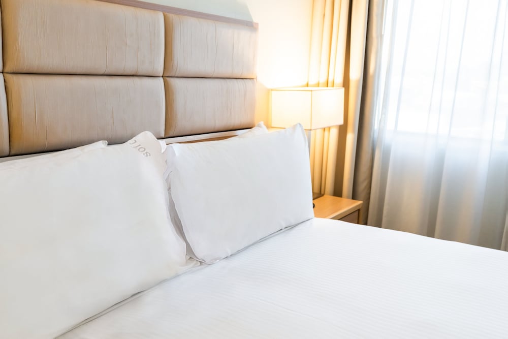 Suite, 1 King Bed
