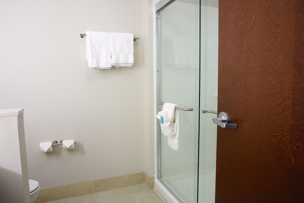 Suite, 1 King Bed, Accessible (Communications) photo 2