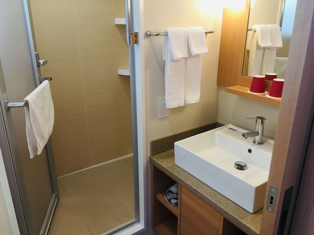 Superior Double Room (Non-Smoking) Shower Booth photo 3