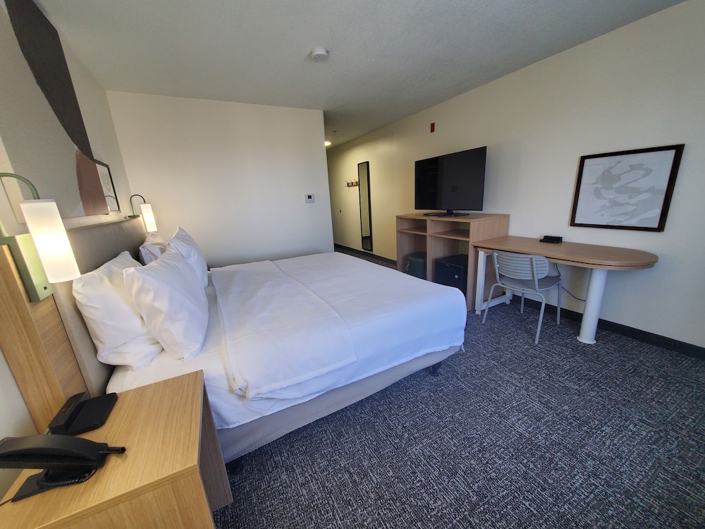 Room, 1 King Bed, Accessible (Roll-In Shower) photo 3