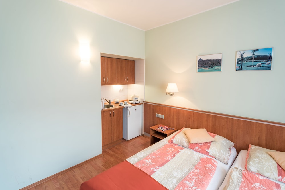 Classic Double Room Single Use, 1 Bedroom, Kitchenette photo 3