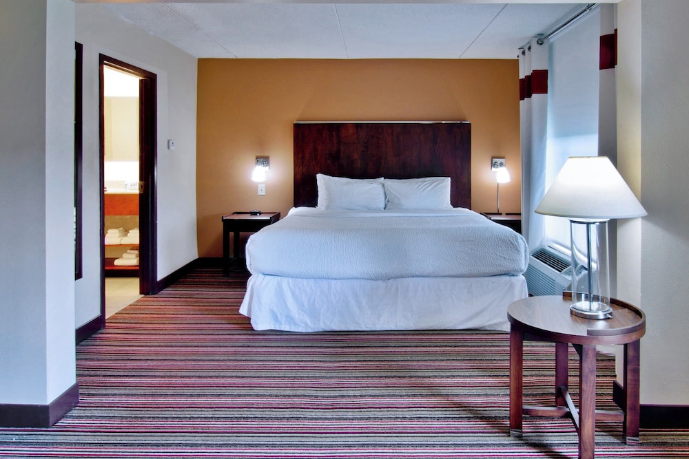 Suite, 1 Bedroom - Photo 3