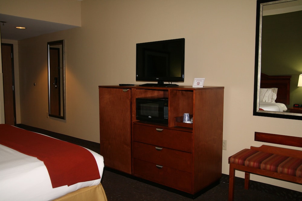 Standard Room, 1 King Bed, Accessible (Communications, Roll-In Shower) - Photo 1