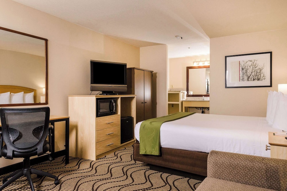 Standard Room, 1 King Bed, Non Smoking - Photo 3