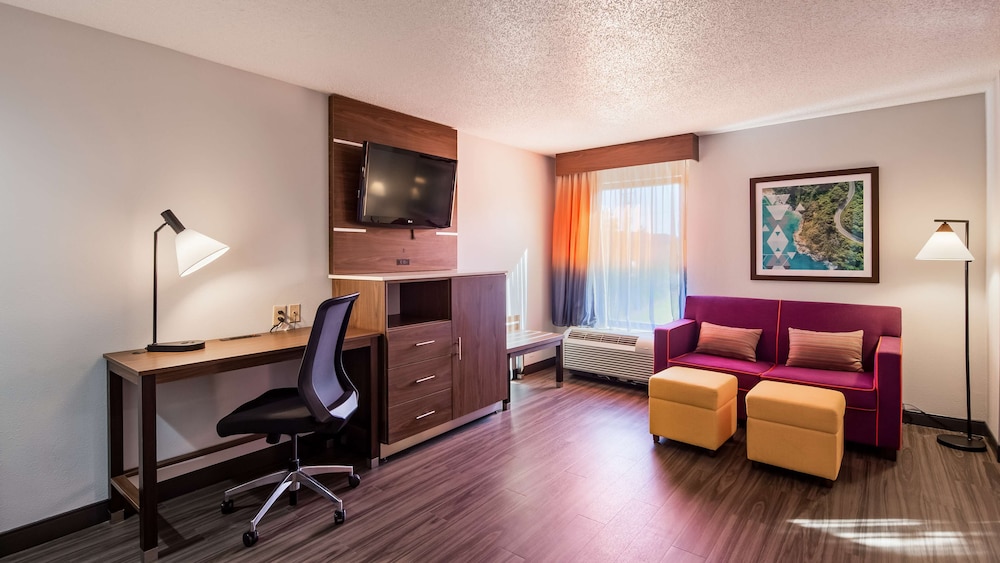 Standard Room, 1 King Bed, Non Smoking, Refrigerator & Microwave (Shower Only;with Sofabed) photo 1
