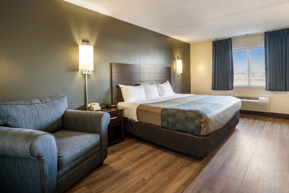 Standard Room, 1 King Bed, Non Smoking (Ground Floor, Pets Allowed)